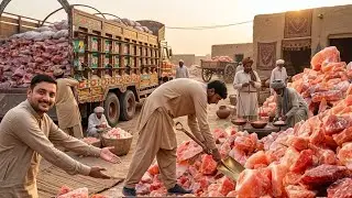 How HIMALAYAN Pink Salt is Mined and Processed | How It is made  jps pets vlog 