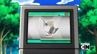 Pidove Pok&eacute;dex Entry..wmv