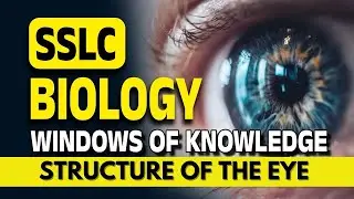 SSLC Biology | Structure of the Eye | Windows of Knowledge |Target Learning App | Anandu Sir