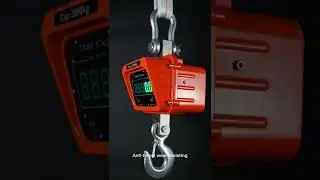 Weighing Crane Scale
