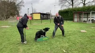 Training 13/03/20 Ronny Van den Berghe & Remko v.d. Daelenberghutte - aanblaffen deel 1