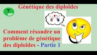 7- Comment résoudre un problème de génétique des diploïdes - Partie 1