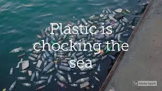 PLASTIC IS NOT FANTASTIC !