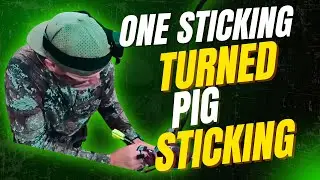 One Sticking Turned Pig Sticking 