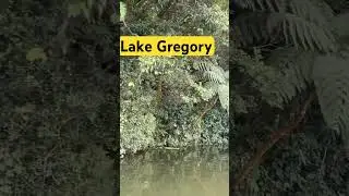 Lake Gregory, Nuvaraeliya, Srilanka #srilanka #lakegregory #traveldestinations #travelvlog
