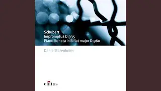 4 Impromptus, Op. 142, D. 935: No. 4 in F Minor
