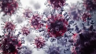 WHO expert: 'Man-made' virus claim is politically motivated