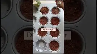 diy havan cups