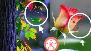 Kinemaster Flower fall #flower  affect | kinemaster video editing tuatural 2021 || Tachnical Abid Sh