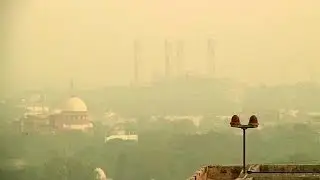 Green campaigners blame governments for 'unacceptable' air pollution deaths