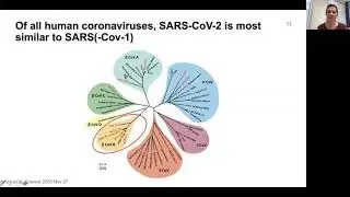 Link between T Follicular Helper Responses+Neutralizing Antibody Memory BCell Responses to SARS-CoV2