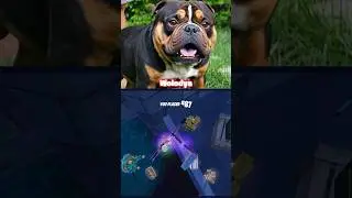 USE CODE GG33 #fortnite #toose #kxrvinho #toosefn #putrick #malibuca #merstach #mongraal #фортнайт