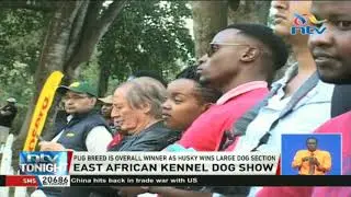 East African Kennel Club holds its 100-year celebrations
