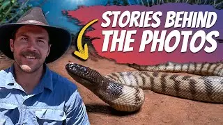 Interview: Snake 'Tails' of Adventure in the Aussie Outback with Ross McGibbon