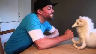 Regular Ordinary Swedish Meal Time - Mr.Fox