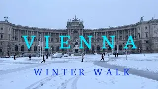 Vienna Walk - Heavy Snowfall  || 4K UHD