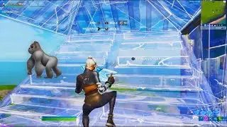 Hold On 🦍 (Fortnite Montage)