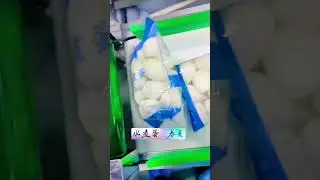 Water boiled eggs counting packing machine