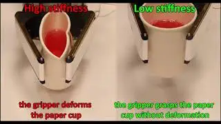 EA-SoGripper: Electroadhesion-Stiffening Self-Adaptive Soft Robotic Gripper