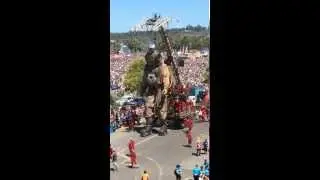 The Giant Diver @ Perth Festival 2015 (Perth Giants)