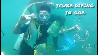 SCUBA DIVING in GOA | #shorts Cinematic 4K musical INTRO Video | Water Sports |