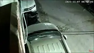 Alleged pet Dog smuggling,trafficking, kidnapping, stealing for breeding,dog meat,animal testing etc