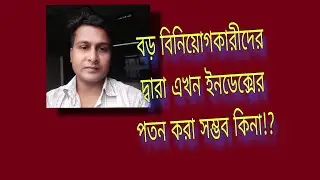 বড় বিনিয়োগকারীরা Index এর পতন করতে পারবে কিনা? 