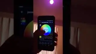WIFIBULB / FOCO WIFI