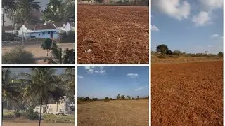 2..Acre 30 Gunte..1 acre price..35 Laksha Gundlupete..10 km call👉☎️8197706071👉☎️8147552201❤️