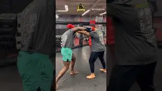 ‼️How to throw a overhand right properly. Over the Jab which is the most commonly thrown #ufc #mma