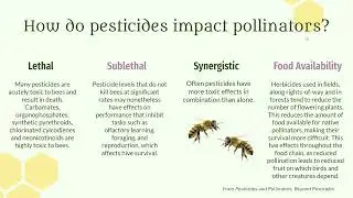 Gardening for Pollinators