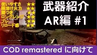 [COD4実況]  アルファの行く おすすめ武器紹介AR編#1 M16A4 (COD MWRにむけて)