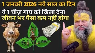 1 जनवरी 2026 नए साल के दिन | ये 1 चीज़ गाय को खिला देना | जीवन भर पैसा का कमी नहीं होगा 