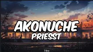 Priesst-Akonuche (lyrics)| I go cut my coat oversize this year
