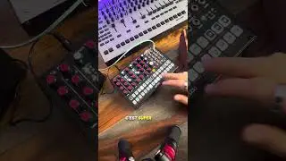 Boom chick vs Moog DFAM ⚔️ #dawless #drummachine #moogdfam #moogaudio