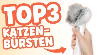Die 3 BESTEN Katzenb&uuml;rsten 2025 im Vergleich!