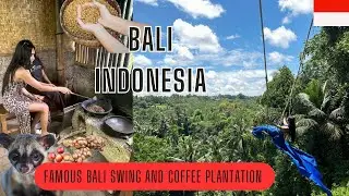 &ldquo;Famous Bali Swing and Coffee Plantation in Indonesia &ldquo;🇮🇩