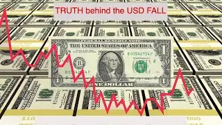 The USD Collapse: Dark Truth Revealed