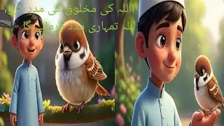 The Kind Boy and the Thirsty Bird | Islamic 3D Animated Story for Kids