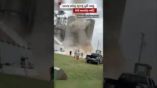 America: A bag full of grain broke, what a stampede ensued?