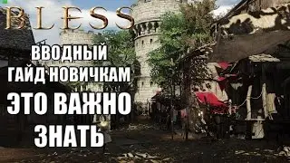 BLESS Online - НОВИЧКАМ, это нужно знать (ГАЙД)