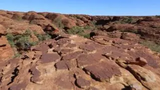Intro to the Australian Outback