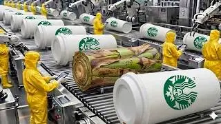 Inside the Eco-Factory &mdash; Making Food Boxes from Banana Stems (Replaces Plastic) Full Process