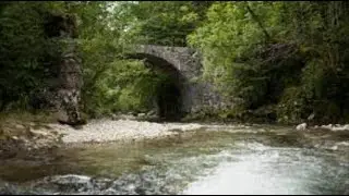 The Le Guiers Mort River, France