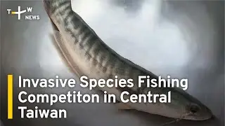 Invasive Species Fishing Competition in Central Taiwan | TaiwanPlus News