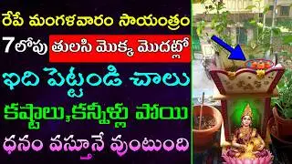 రేపే మంగళవారం సాయంత్రం 7లోపు తులసి మొక్క మొదట్లో  ఇది పెట్టండి చాలు కష్టాలు,కన్నీళ్లు పోయి ధనం