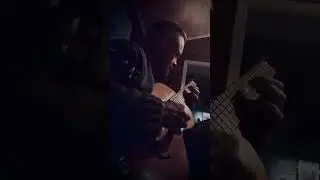 Norwegian folk music on an old parlor guitar #norwegianmusic #folkmusic
