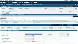 Deltek Time & Expense 10: Expense Reports