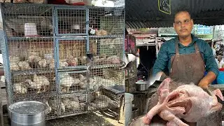 How To Cut Whole Chicken | Chicken Cutting Skills | Fast Chicken Cutting  Imran chicken village ilfe