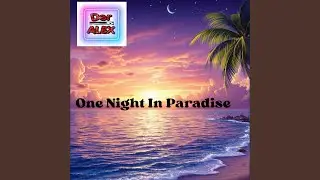 One Night In Paradise